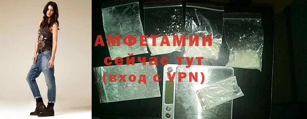 винт Верея
