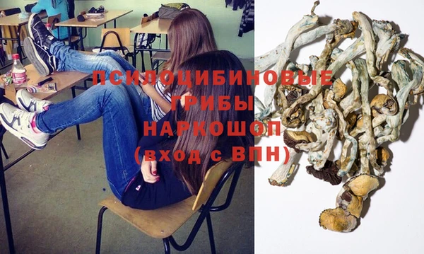 винт Верея