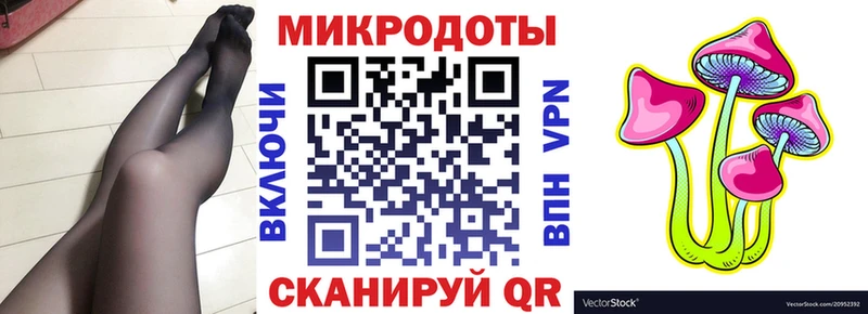 блэк спрут зеркало  купить  цена  Гулькевичи  Галлюциногенные грибы MAGIC MUSHROOMS 